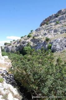 ntana Paradiso-15-05-2014 17-39-37
